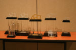 FIRST Awards
