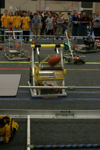 Main Robot
