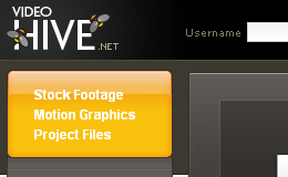 Video Hive