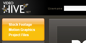 Website Design