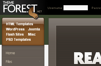 Theme Forest