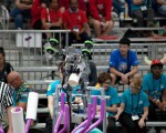 MG_2620ed-X-