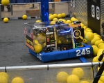SAM_3353