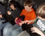 puppy-play-date-037-001